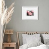 image:imageAmericanflat 11x14 Picture Frame with ShatterResistant Glass  Use as 5x7 Frame with Mat or Display 11x14 Photo Without Mat  Signature Collection  Picture Frames for Wall Display  Black  Shatterresistant glass hangs vertical or horizontal sawtooth hangers included use with or without matWhite