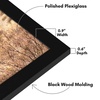 image:imageAmericanflat 14x20 Picture Frame with Polished Plexiglass  Signature Collection  GalleryStyle Frames Made of Engineered Wood  Photo Frame for Wall Display  Black  Polished plexiglass front hangs vertical or horizontal sawtooth hangers included fits photos posters and artBlack
