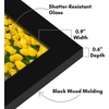 image:imageAmericanflat 14x20 Picture Frame with Polished Plexiglass  Signature Collection  GalleryStyle Frames Made of Engineered Wood  Photo Frame for Wall Display  Black  Polished plexiglass front hangs vertical or horizontal sawtooth hangers included fits photos posters and artBlack
