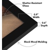 image:imageAmericanflat 14x20 Picture Frame with Polished Plexiglass  Signature Collection  GalleryStyle Frames Made of Engineered Wood  Photo Frame for Wall Display  Black  Polished plexiglass front hangs vertical or horizontal sawtooth hangers included fits photos posters and artBlack