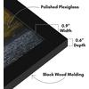 image:imageAmericanflat 14x20 Picture Frame with Polished Plexiglass  Signature Collection  GalleryStyle Frames Made of Engineered Wood  Photo Frame for Wall Display  Black  Polished plexiglass front hangs vertical or horizontal sawtooth hangers included fits photos posters and artBlack