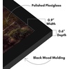 image:imageAmericanflat 14x20 Picture Frame with Polished Plexiglass  Signature Collection  GalleryStyle Frames Made of Engineered Wood  Photo Frame for Wall Display  Black  Polished plexiglass front hangs vertical or horizontal sawtooth hangers included fits photos posters and artBlack