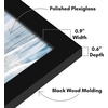 image:imageAmericanflat 14x20 Picture Frame with Polished Plexiglass  Signature Collection  GalleryStyle Frames Made of Engineered Wood  Photo Frame for Wall Display  Black  Polished plexiglass front hangs vertical or horizontal sawtooth hangers included fits photos posters and artBlack