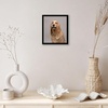 image:imageAmericanflat 24x30 Poster Frame  Slim Molding  Black  Polished plexiglass front hangs vertical or horizontal sawtooth hangers included secure turntab backingBlack