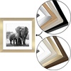 image:imageAmericanflat 9x12 Picture Frame with ShatterResistant Glass  Use as 6x8 Frame with Mat or Display 9x12 Photo Without Mat  Signature Collection  Picture Frames for Tabletop and Wall Display  Black  Shatterresistant glass wall or tabletop display with included easel sawtooth hangers included use with or without matGold