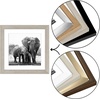 image:imageAmericanflat 9x12 Picture Frame with ShatterResistant Glass  Use as 6x8 Frame with Mat or Display 9x12 Photo Without Mat  Signature Collection  Picture Frames for Tabletop and Wall Display  Black  Shatterresistant glass wall or tabletop display with included easel sawtooth hangers included use with or without matDriftwood