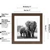 image:imageAmericanflat 9x12 Picture Frame with ShatterResistant Glass  Use as 6x8 Frame with Mat or Display 9x12 Photo Without Mat  Signature Collection  Picture Frames for Tabletop and Wall Display  Black  Shatterresistant glass wall or tabletop display with included easel sawtooth hangers included use with or without matWalnut