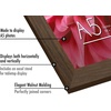 image:imageAmericanflat A4 Picture Frame with ShatterResistant Glass  83x117 Frame with Engineered Wood  Signature Collection  A4 Frames for Tabletop and Wall Display  BlackWalnut