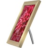 image:imageAmericanflat A4 Picture Frame with ShatterResistant Glass  83x117 Frame with Engineered Wood  Signature Collection  A4 Frames for Tabletop and Wall Display  BlackGold