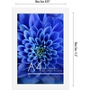 image:imageAmericanflat A4 Picture Frame with ShatterResistant Glass  83x117 Frame with Engineered Wood  Signature Collection  A4 Frames for Tabletop and Wall Display  BlackWhite