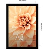 image:imageAmericanflat A4 Picture Frame with ShatterResistant Glass  83x117 Frame with Engineered Wood  Signature Collection  A4 Frames for Tabletop and Wall Display  BlackBlack