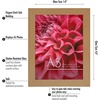 image:imageAmericanflat A4 Picture Frame with ShatterResistant Glass  83x117 Frame with Engineered Wood  Signature Collection  A4 Frames for Tabletop and Wall Display  BlackDark Oak