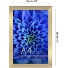 image:imageAmericanflat A4 Picture Frame with ShatterResistant Glass  83x117 Frame with Engineered Wood  Signature Collection  A4 Frames for Tabletop and Wall Display  BlackGold
