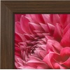 image:imageAmericanflat A4 Picture Frame with ShatterResistant Glass  83x117 Frame with Engineered Wood  Signature Collection  A4 Frames for Tabletop and Wall Display  BlackWalnut