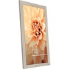 image:imageAmericanflat A4 Picture Frame with ShatterResistant Glass  83x117 Frame with Engineered Wood  Signature Collection  A4 Frames for Tabletop and Wall Display  BlackDriftwood