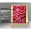 image:imageAmericanflat A4 Picture Frame with ShatterResistant Glass  83x117 Frame with Engineered Wood  Signature Collection  A4 Frames for Tabletop and Wall Display  BlackGold
