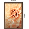 image:imageAmericanflat A4 Picture Frame with ShatterResistant Glass  83x117 Frame with Engineered Wood  Signature Collection  A4 Frames for Tabletop and Wall Display  BlackWalnut