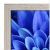 image:imageAmericanflat A4 Picture Frame with ShatterResistant Glass  83x117 Frame with Engineered Wood  Signature Collection  A4 Frames for Tabletop and Wall Display  BlackDriftwood