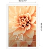 image:imageAmericanflat A4 Picture Frame with ShatterResistant Glass  83x117 Frame with Engineered Wood  Signature Collection  A4 Frames for Tabletop and Wall Display  BlackWhite