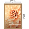 image:imageAmericanflat A4 Picture Frame with ShatterResistant Glass  83x117 Frame with Engineered Wood  Signature Collection  A4 Frames for Tabletop and Wall Display  BlackDark Oak