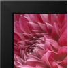 image:imageAmericanflat A4 Picture Frame with ShatterResistant Glass  83x117 Frame with Engineered Wood  Signature Collection  A4 Frames for Tabletop and Wall Display  BlackBlack