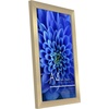 image:imageAmericanflat A4 Picture Frame with ShatterResistant Glass  83x117 Frame with Engineered Wood  Signature Collection  A4 Frames for Tabletop and Wall Display  BlackGold