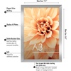 image:imageAmericanflat A4 Picture Frame with ShatterResistant Glass  83x117 Frame with Engineered Wood  Signature Collection  A4 Frames for Tabletop and Wall Display  BlackSilver