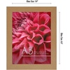 image:imageAmericanflat A4 Picture Frame with ShatterResistant Glass  83x117 Frame with Engineered Wood  Signature Collection  A4 Frames for Tabletop and Wall Display  BlackDark Oak