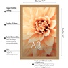 image:imageAmericanflat A4 Picture Frame with ShatterResistant Glass  83x117 Frame with Engineered Wood  Signature Collection  A4 Frames for Tabletop and Wall Display  BlackDark Oak
