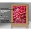 image:imageAmericanflat A4 Picture Frame with ShatterResistant Glass  83x117 Frame with Engineered Wood  Signature Collection  A4 Frames for Tabletop and Wall Display  BlackDark Oak