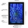image:imageAmericanflat A4 Picture Frame with ShatterResistant Glass  83x117 Frame with Engineered Wood  Signature Collection  A4 Frames for Tabletop and Wall Display  BlackBlack