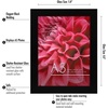 image:imageAmericanflat A4 Picture Frame with ShatterResistant Glass  83x117 Frame with Engineered Wood  Signature Collection  A4 Frames for Tabletop and Wall Display  BlackBlack