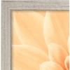 image:imageAmericanflat A4 Picture Frame with ShatterResistant Glass  83x117 Frame with Engineered Wood  Signature Collection  A4 Frames for Tabletop and Wall Display  BlackDriftwood