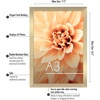 image:imageAmericanflat A4 Picture Frame with ShatterResistant Glass  83x117 Frame with Engineered Wood  Signature Collection  A4 Frames for Tabletop and Wall Display  BlackGold