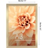 image:imageAmericanflat A4 Picture Frame with ShatterResistant Glass  83x117 Frame with Engineered Wood  Signature Collection  A4 Frames for Tabletop and Wall Display  BlackGold