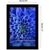 image:imageAmericanflat A4 Picture Frame with ShatterResistant Glass  83x117 Frame with Engineered Wood  Signature Collection  A4 Frames for Tabletop and Wall Display  BlackBlack