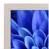 image:imageAmericanflat A4 Picture Frame with ShatterResistant Glass  83x117 Frame with Engineered Wood  Signature Collection  A4 Frames for Tabletop and Wall Display  BlackLight Wood