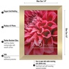 image:imageAmericanflat A4 Picture Frame with ShatterResistant Glass  83x117 Frame with Engineered Wood  Signature Collection  A4 Frames for Tabletop and Wall Display  BlackGold
