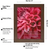 image:imageAmericanflat A4 Picture Frame with ShatterResistant Glass  83x117 Frame with Engineered Wood  Signature Collection  A4 Frames for Tabletop and Wall Display  BlackWalnut