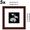 image:imageAmericanflat 11x14 Picture Frame 5Pack  Matted to 8x11  Black  Slim Molding construction Polished plexiglass front hangs vertical or horizontal sawtooth hangers includedMahogany