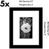 image:imageAmericanflat 11x14 Picture Frame 5Pack  Matted to 8x11  Black  Slim Molding construction Polished plexiglass front hangs vertical or horizontal sawtooth hangers includedBlack