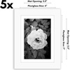 image:imageAmericanflat 11x14 Picture Frame 5Pack  Matted to 8x11  Black  Slim Molding construction Polished plexiglass front hangs vertical or horizontal sawtooth hangers includedWhite
