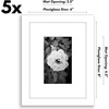 image:imageAmericanflat 11x14 Picture Frame 5Pack  Matted to 8x11  Black  Slim Molding construction Polished plexiglass front hangs vertical or horizontal sawtooth hangers includedWhite