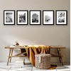 image:imageAmericanflat 11x14 Picture Frame 5Pack  Matted to 8x11  Black  Slim Molding construction Polished plexiglass front hangs vertical or horizontal sawtooth hangers includedBlack