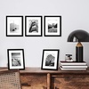 image:imageAmericanflat 11x14 Picture Frame 5Pack  Matted to 8x11  Black  Slim Molding construction Polished plexiglass front hangs vertical or horizontal sawtooth hangers includedBlack