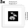 image:imageAmericanflat 11x14 Picture Frame 5Pack  Matted to 8x11  Black  Slim Molding construction Polished plexiglass front hangs vertical or horizontal sawtooth hangers includedWhite