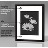 image:imageAmericanflat 11x14 Picture Frame 5Pack  Matted to 8x11  Black  Slim Molding construction Polished plexiglass front hangs vertical or horizontal sawtooth hangers includedBlack