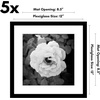image:imageAmericanflat 11x14 Picture Frame 5Pack  Matted to 8x11  Black  Slim Molding construction Polished plexiglass front hangs vertical or horizontal sawtooth hangers includedBlack