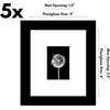 image:imageAmericanflat 11x14 Picture Frame 5Pack  Matted to 8x11  Black  Slim Molding construction Polished plexiglass front hangs vertical or horizontal sawtooth hangers includedBlack