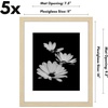 image:imageAmericanflat 11x14 Picture Frame 5Pack  Matted to 8x11  Black  Slim Molding construction Polished plexiglass front hangs vertical or horizontal sawtooth hangers includedNatural Oak